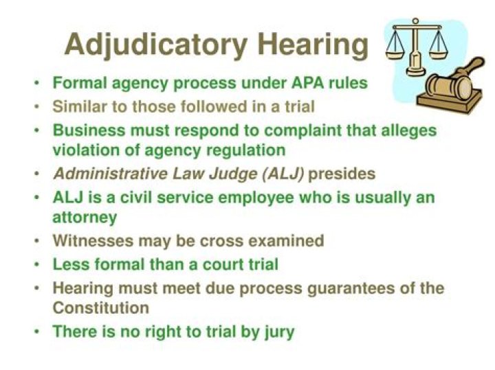 What is an adjudicatory hearing in Virginia