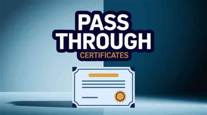 What is an asset backed pass through certificate