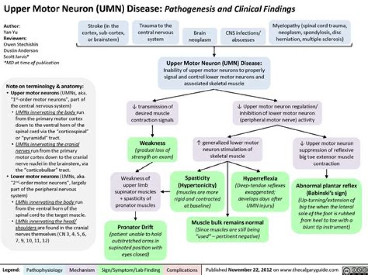 What is an upper motor neuron disease