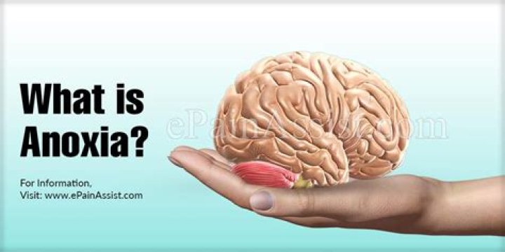 What is anoxia disease