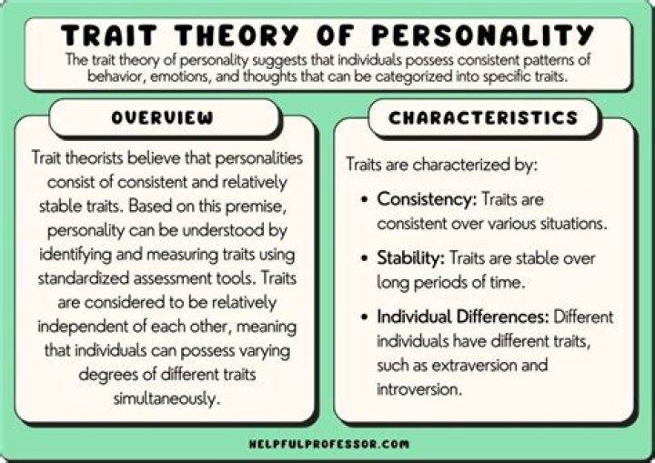 What is behavioral personality theory