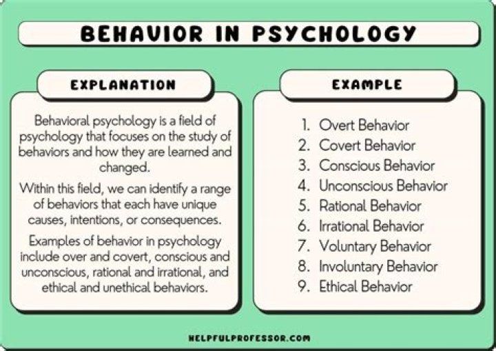 What is Behaviour and types of Behaviour