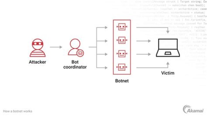 What is botnets and spear phishing