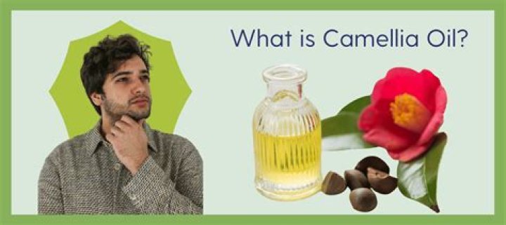 What is camellia oil good for