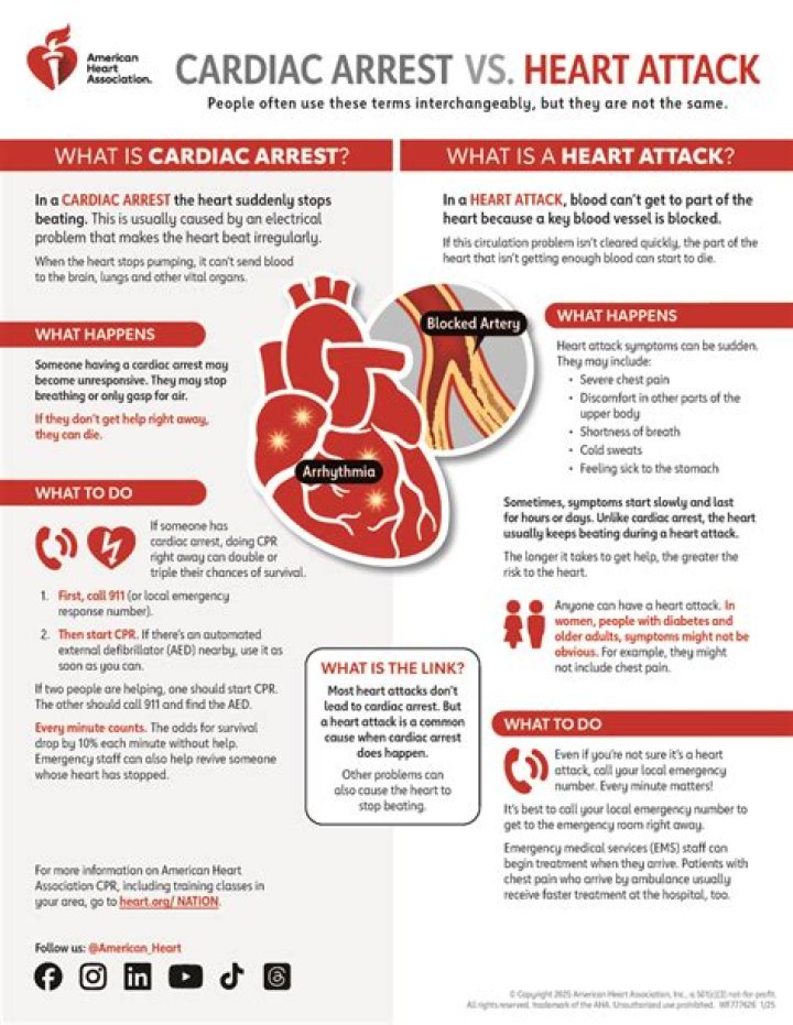 What is cardiac artifact
