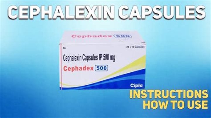 What is cefalexin used for
