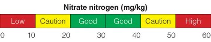 What is considered high nitrate level