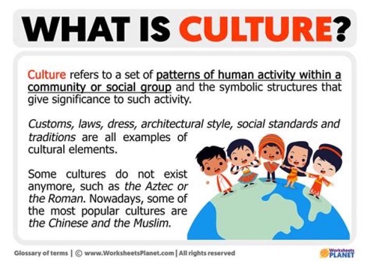 What is culture as shared