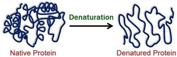 What is denaturing and what causes it to occur