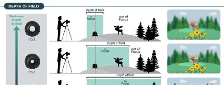 What is depth information in image