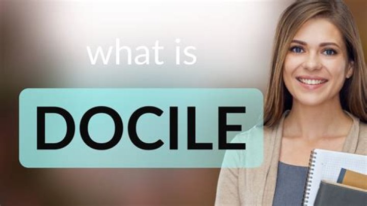 What is docile person