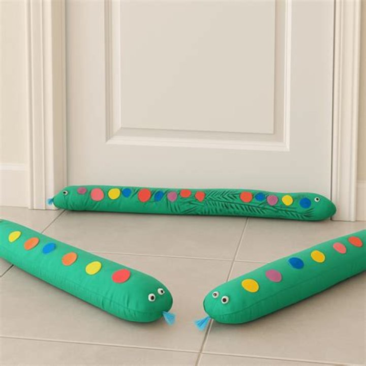 What is door snake