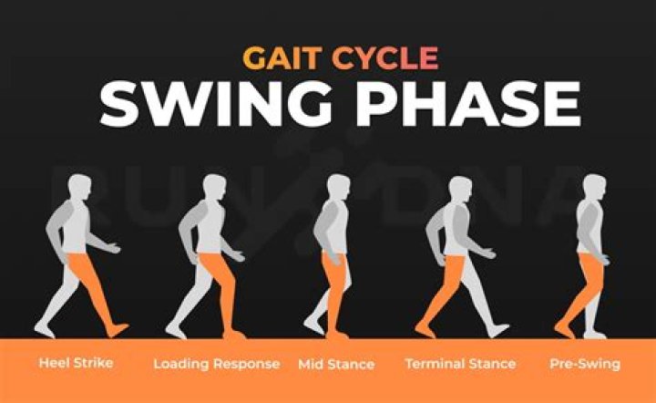 What is double support in gait