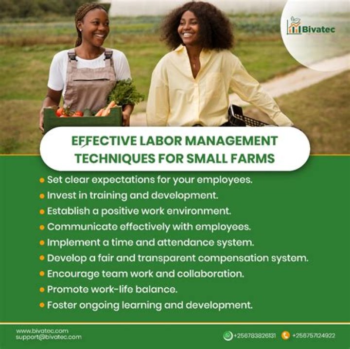 What is effective labor