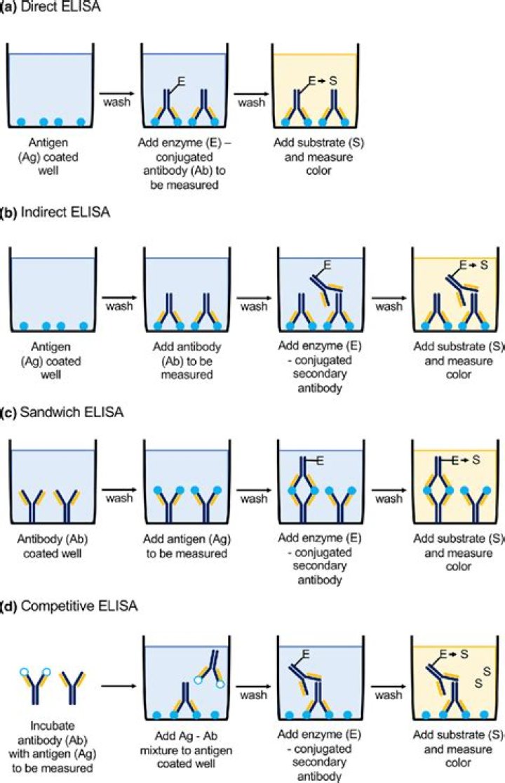 What is Elisa and its principle