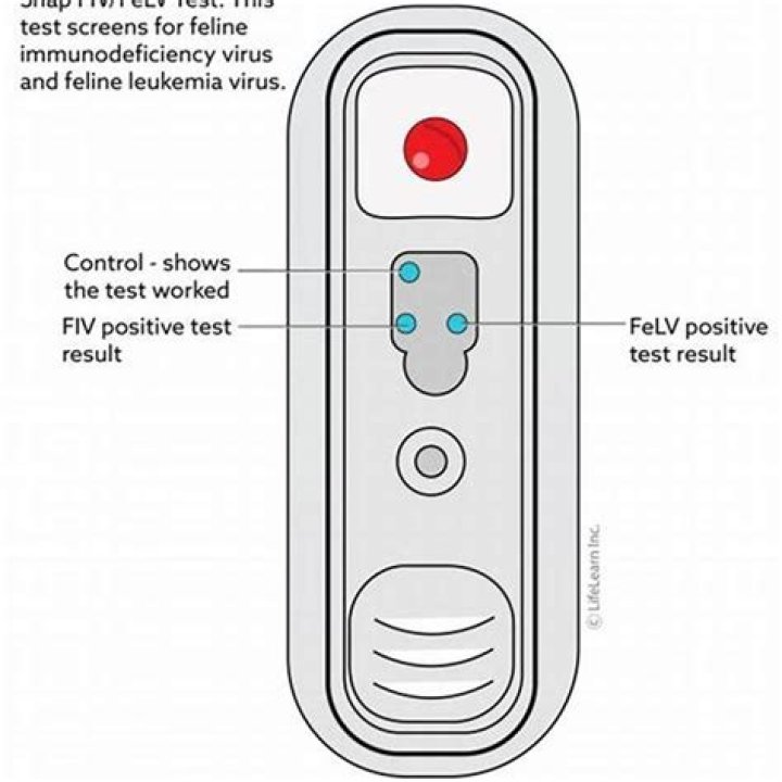 What is FeLV FIV Snap test