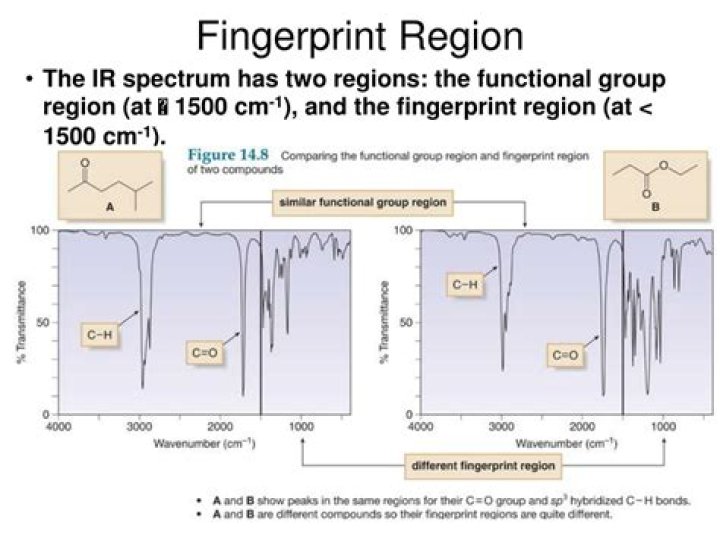 What is finger print region in IR