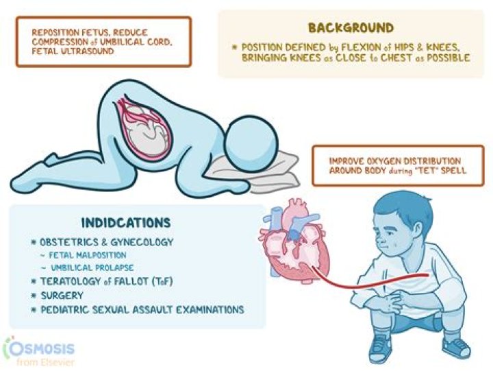 What is Genu pectoral position