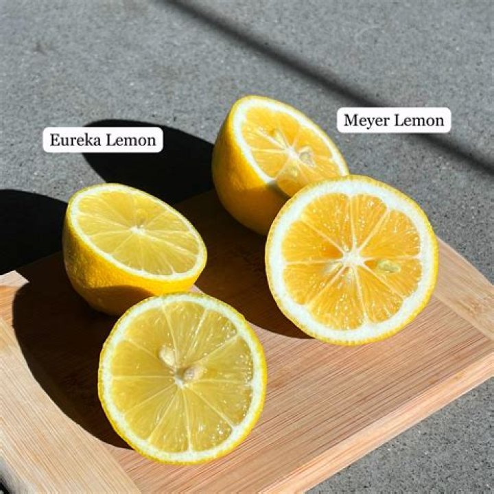 What is Improved Meyer Lemon