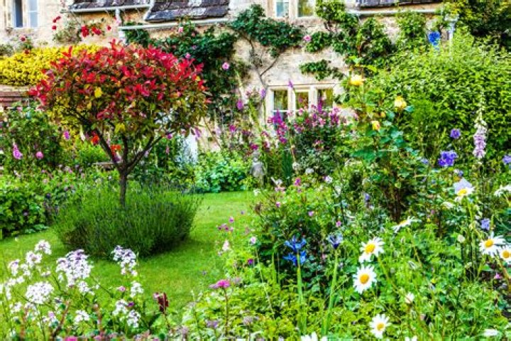 What is in an English garden