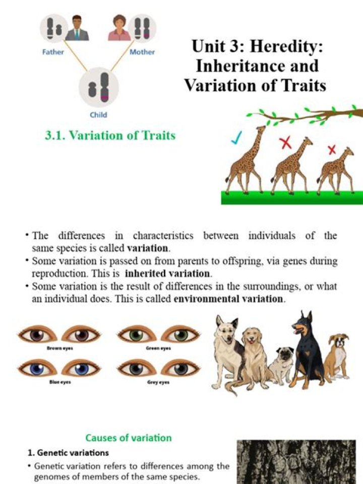What is inheritance and variation of traits