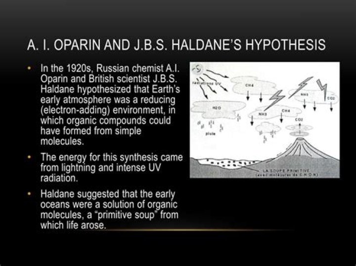 What is JBS Haldanes hypothesis