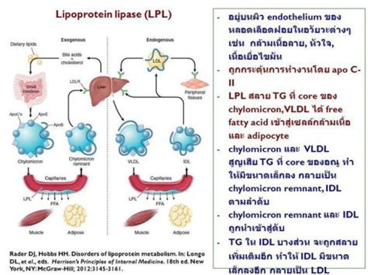 What is Lipoprotein Deficiency Disorder
