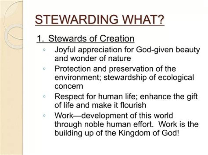 What is meant by being made by God the stewards of his creation