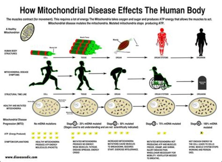What is mitochondrial myopathy