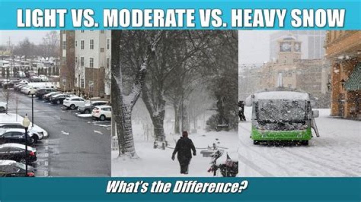 What is moderate light