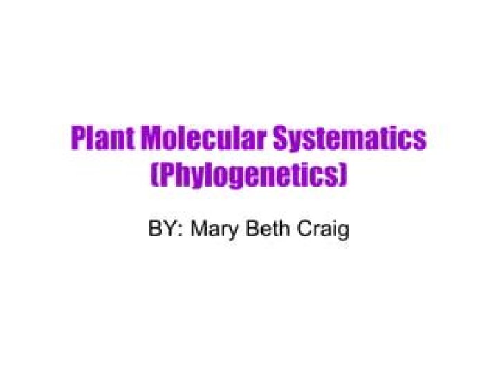 What is Molecular Systematics