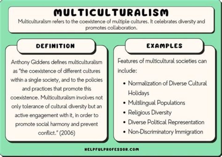 What is multicultural theory