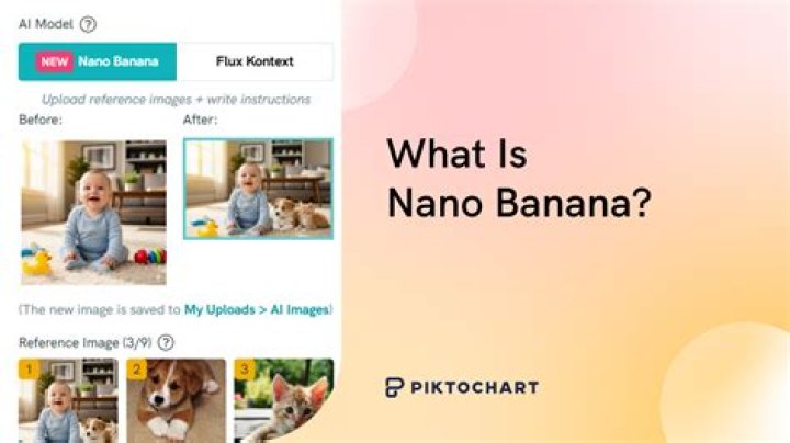 What is Nano unit