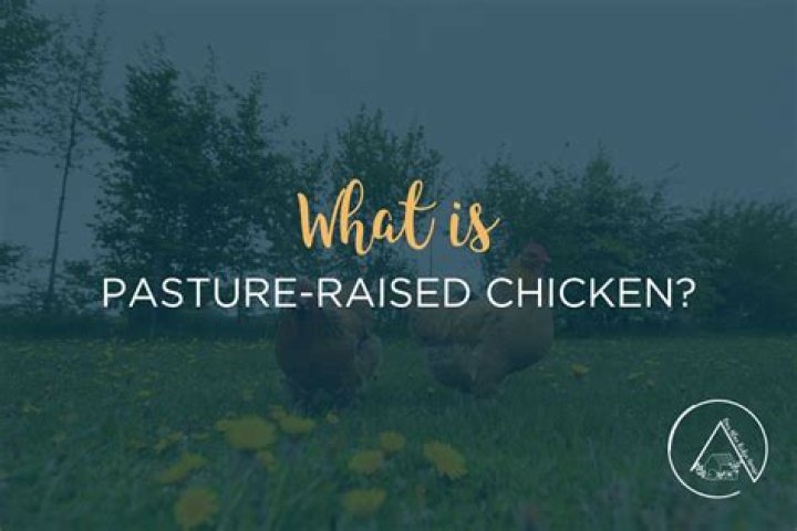 What is pasture raised