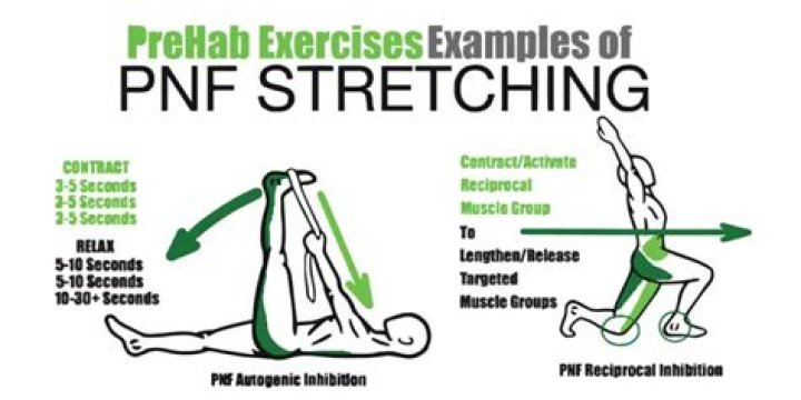 What is proprioceptive neuromuscular facilitation PNF