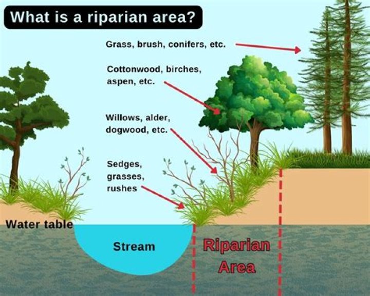 What is riparian state