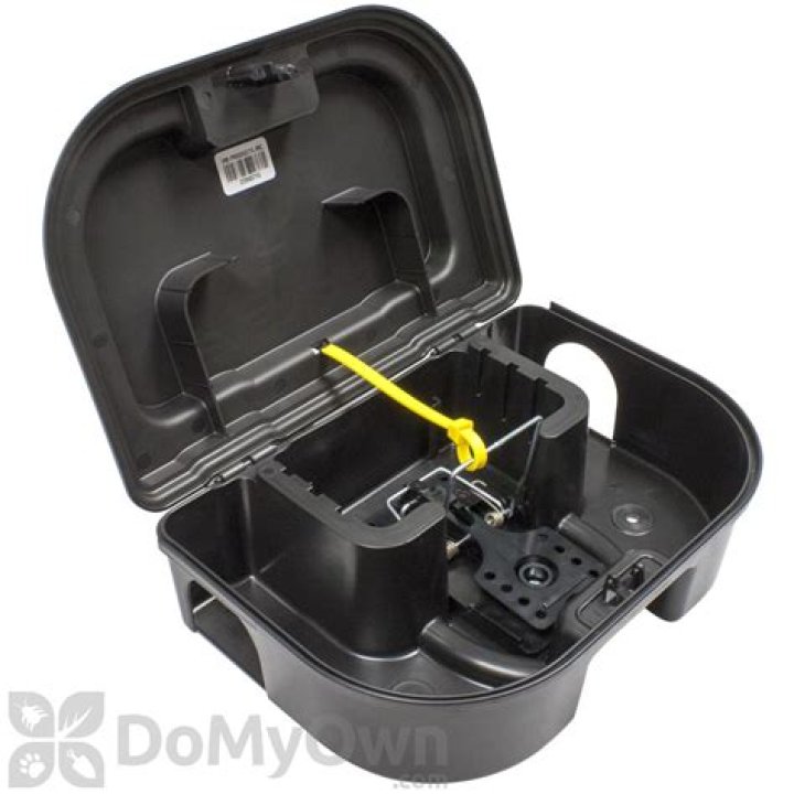 What is rodent bait station
