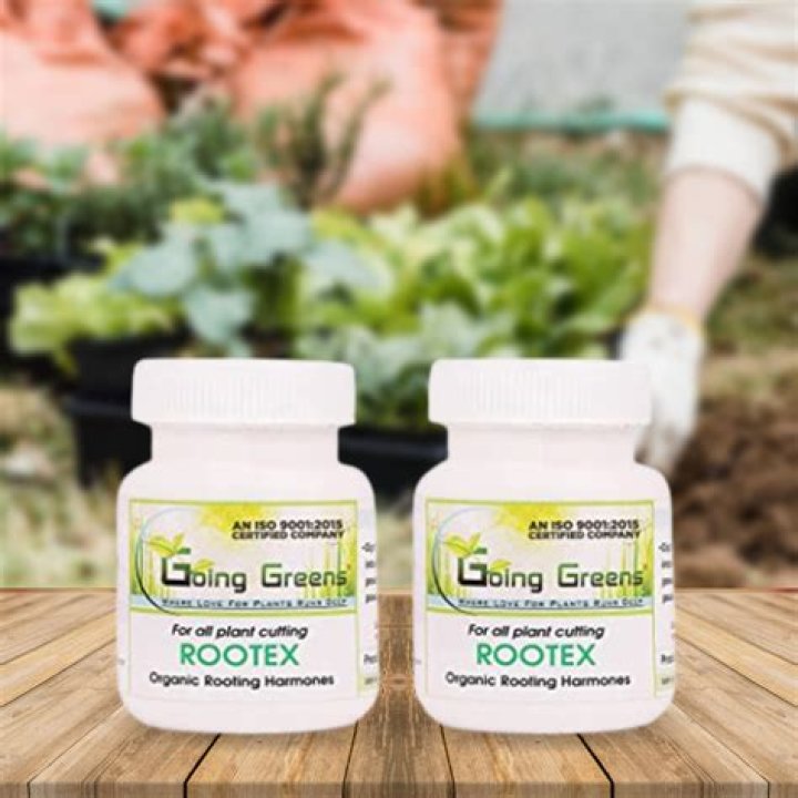 What is Rootex powder