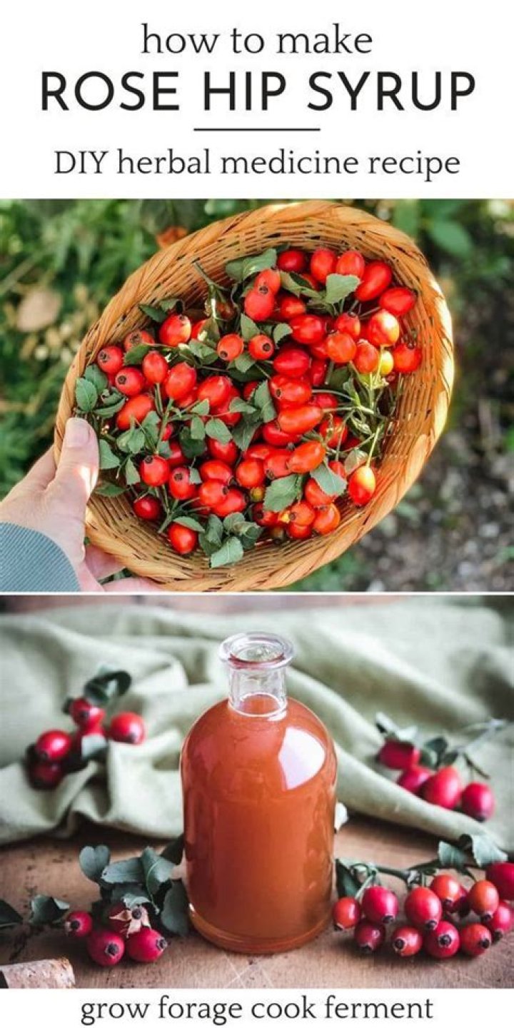What is rosehip syrup good for