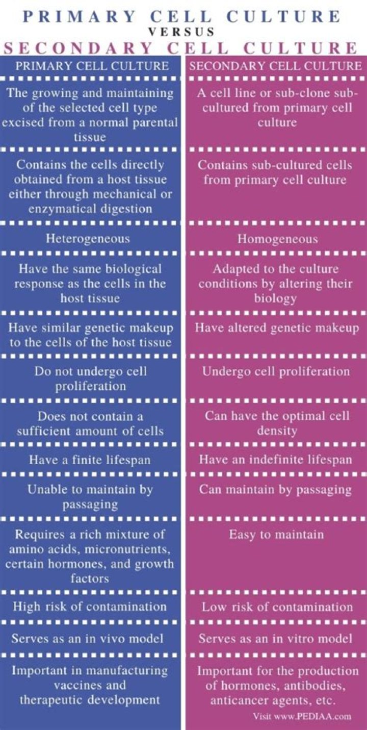 What is secondary cell culture