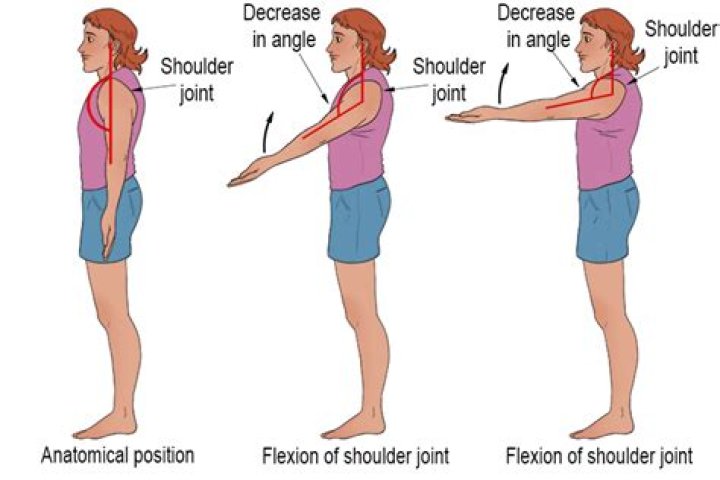 What is shoulder horizontal flexion