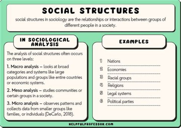 What is social statistics in sociology