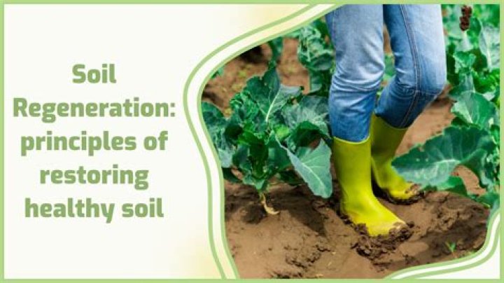What is soil replacement