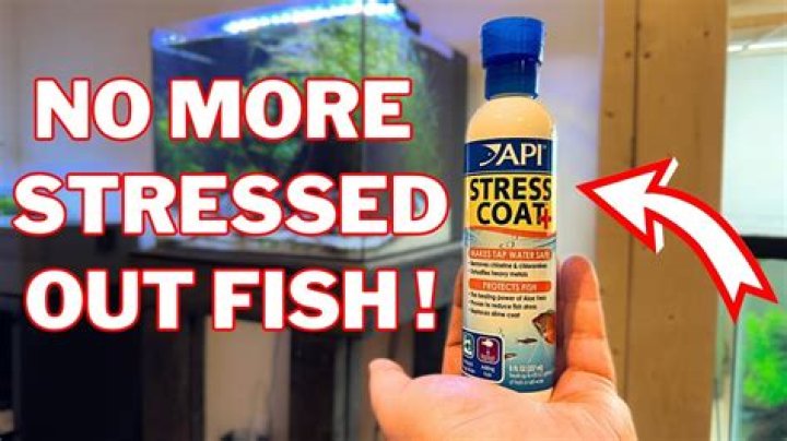 What is stress coat used for