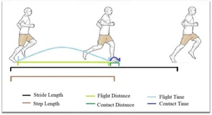 What is stride length and stride frequency