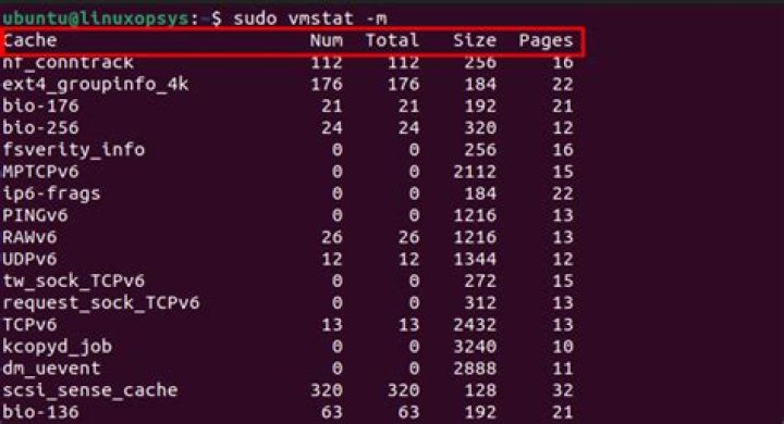 What is SWPD in Vmstat