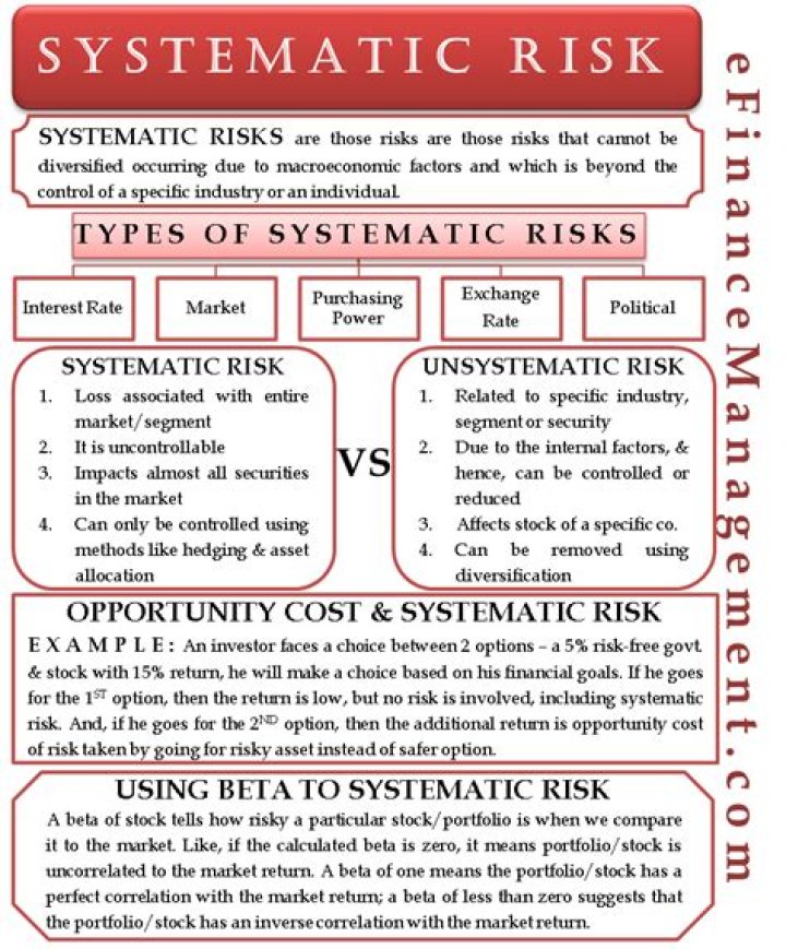 What is systematic political risk