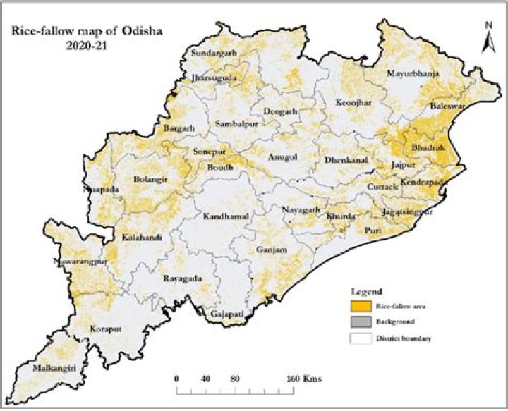 What is the area known as fallow used for
