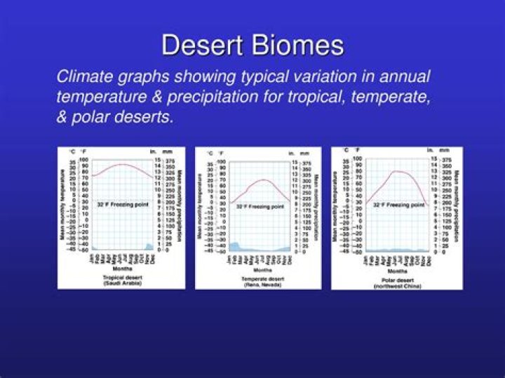 What is the average precipitation in the desert biome