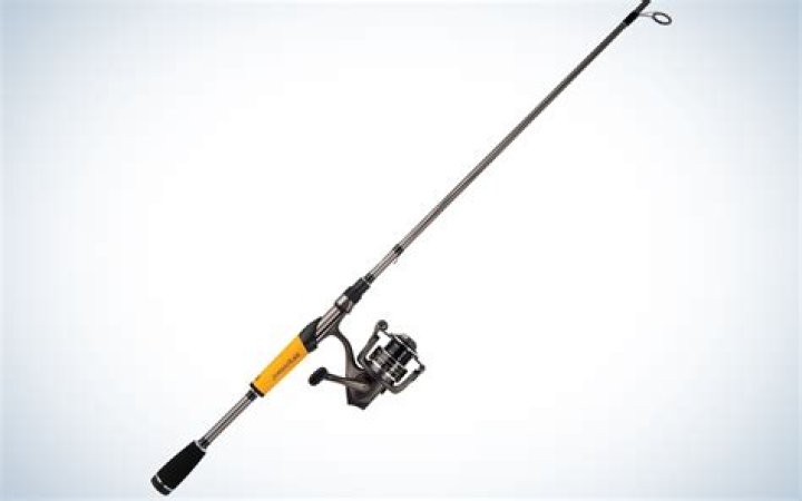 What is the best cheap fishing rod